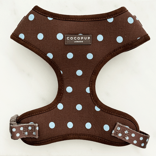 Cocopup London Explore Biscotti Blue Dog Harness
