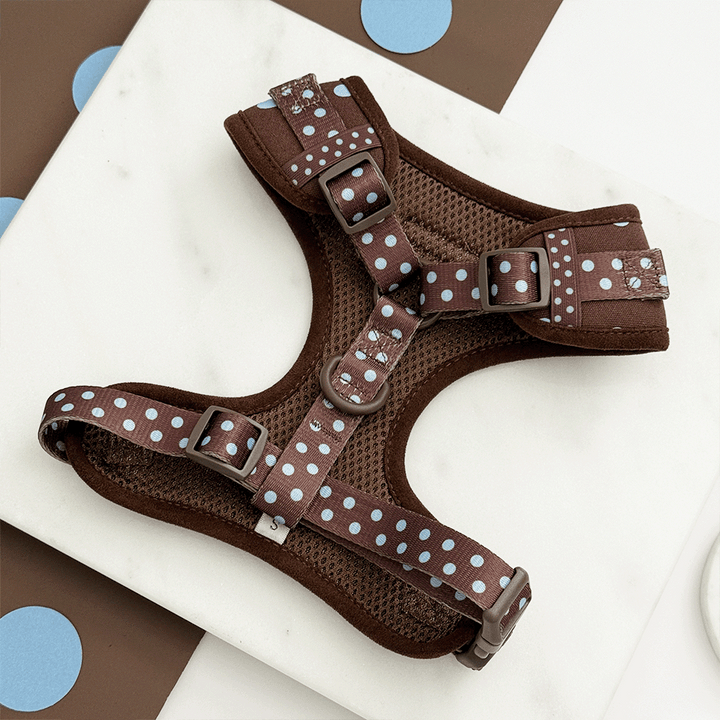Cocopup London Explore Biscotti Blue Dog Harness
