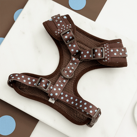 Cocopup London Explore Biscotti Blue Dog Harness
