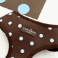 Cocopup London Explore Biscotti Blue Dog Harness