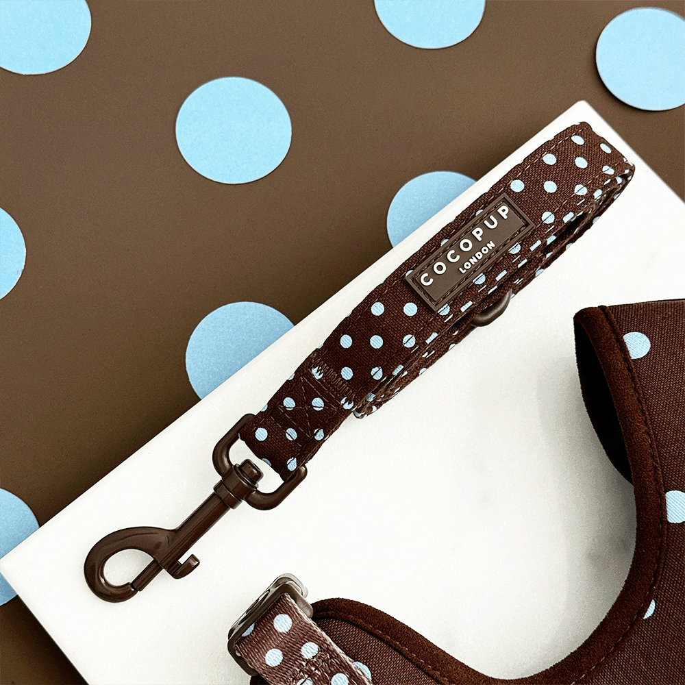 Cocopup London Biscotti Blue Dog Lead