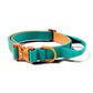 BullyBillows Lighter Combat Collar With Handle Rated Clip Turquoise & Orange