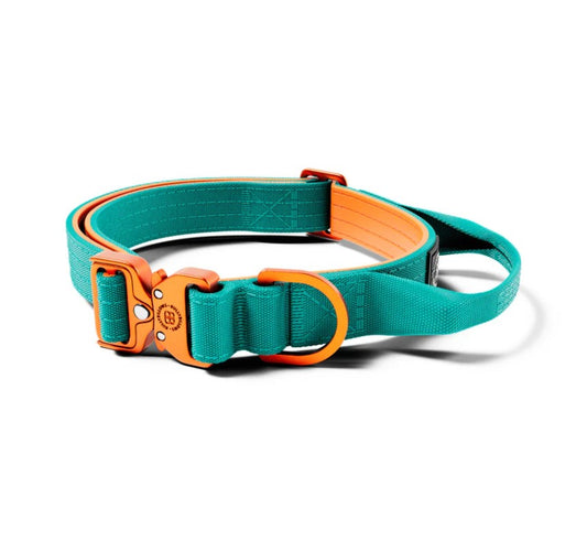 BullyBillows Lighter Combat Collar With Handle Rated Clip Turquoise & Orange