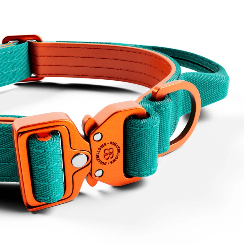 BullyBillows Lighter Combat Collar With Handle Rated Clip Turquoise & Orange