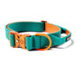 BullyBillows Lighter Combat Collar With Handle Rated Clip Turquoise & Orange