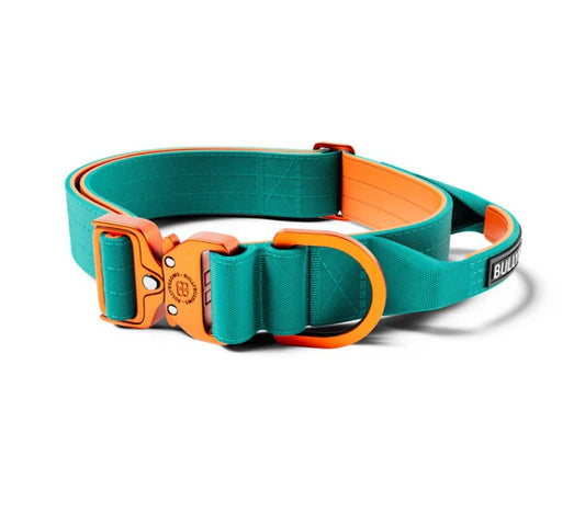 BullyBillows Lighter Combat Collar With Handle Rated Clip Turquoise & Orange