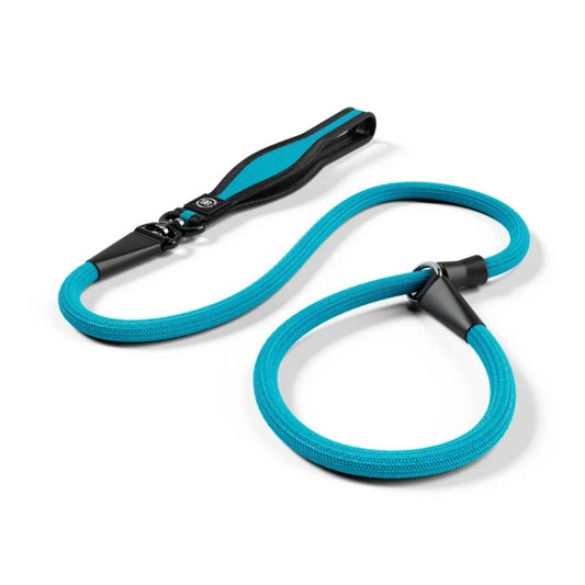 BullyBillows Anti-Pull Training Slip Lead Light Blue