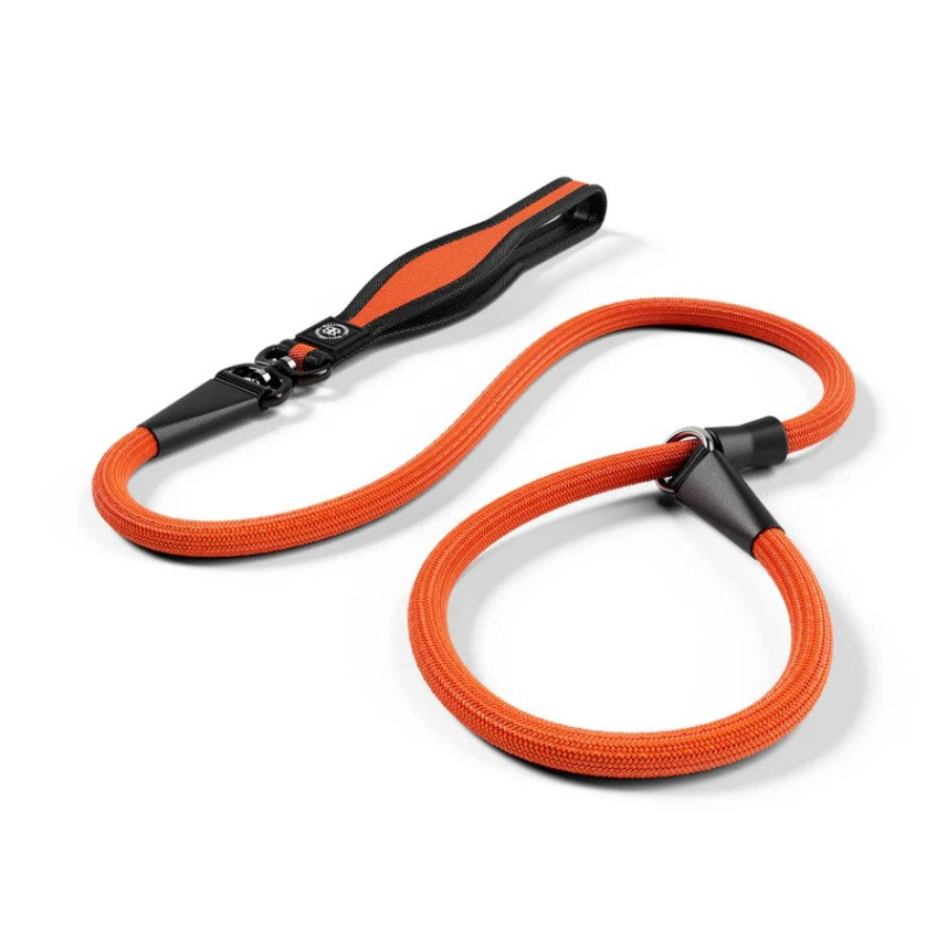 BullyBillows Anti-Pull Training Slip Lead Orange
