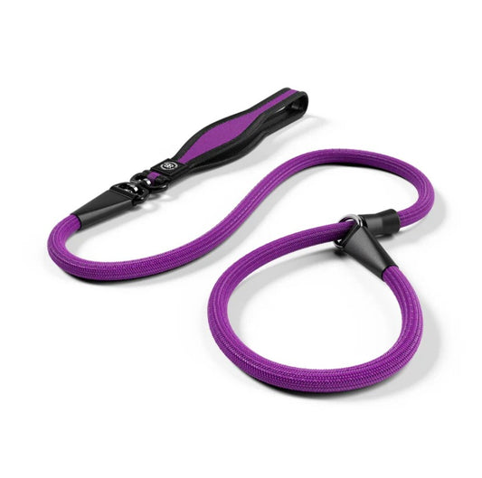 BullyBillows Anti-Pull Training Slip Lead Purple