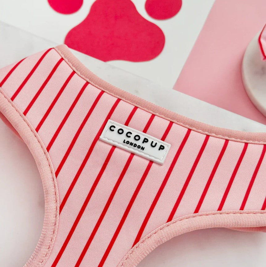Cocopup London Candy Stripe Dog Harness