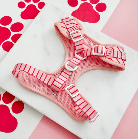 Cocopup London Candy Stripe Dog Harness