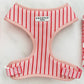 Cocopup London Candy Stripe Dog Harness