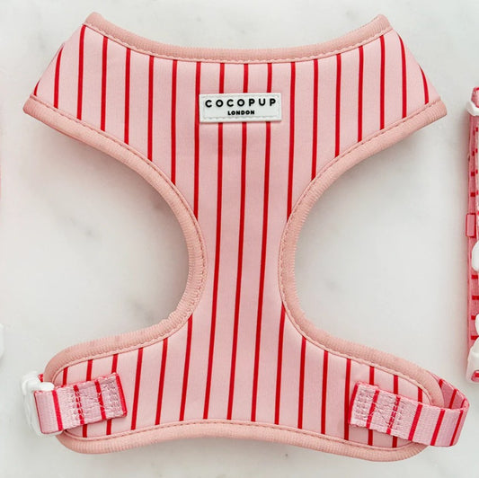 Cocopup London Candy Stripe Dog Harness