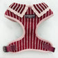 Cocopup Knitted Cherry Bakewell Harness