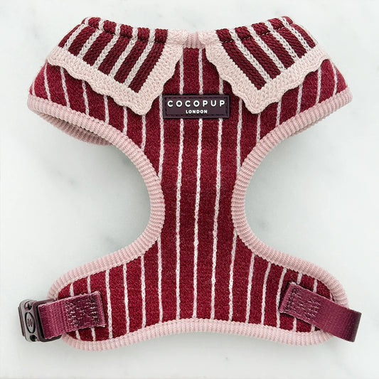 Cocopup Knitted Cherry Bakewell Harness