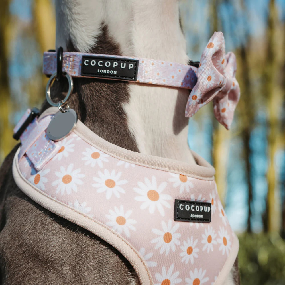 Cocopup Daisy Chain Dog Collar