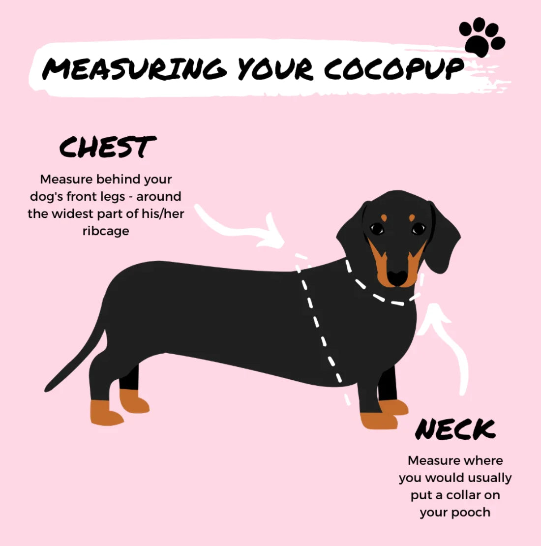 Cocopup London Daisy Chain Dog Harness