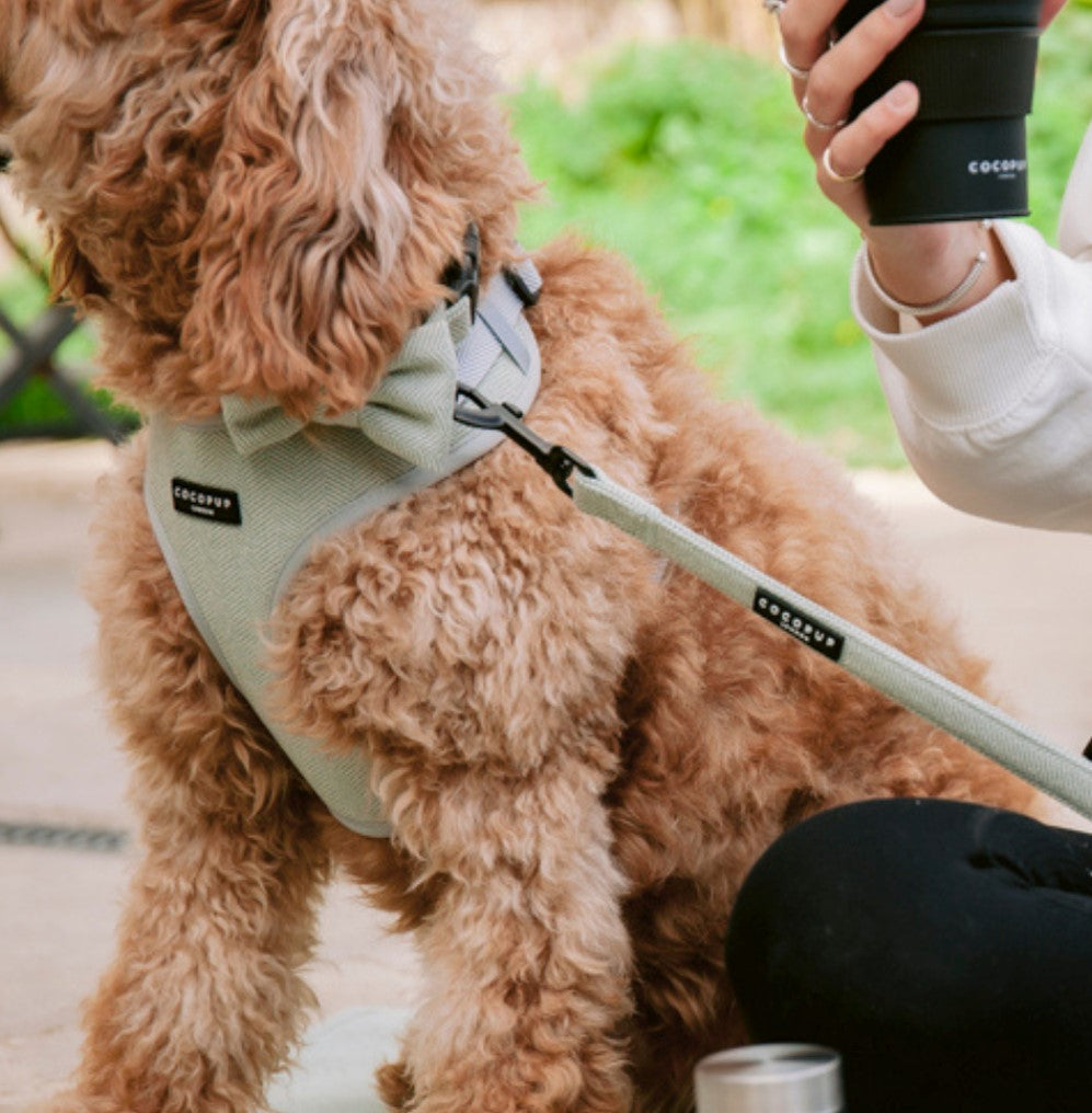 Cocopup London Sage Green Tweed Dog Harness