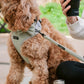 Cocopup London Sage Green Tweed Dog Bow Tie
