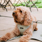 Cocopup London Sage Green Tweed Dog Harness