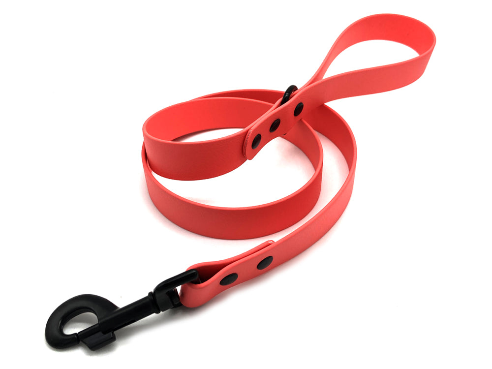 Ditsy Pet Coral Biothane Lead Small/Medium