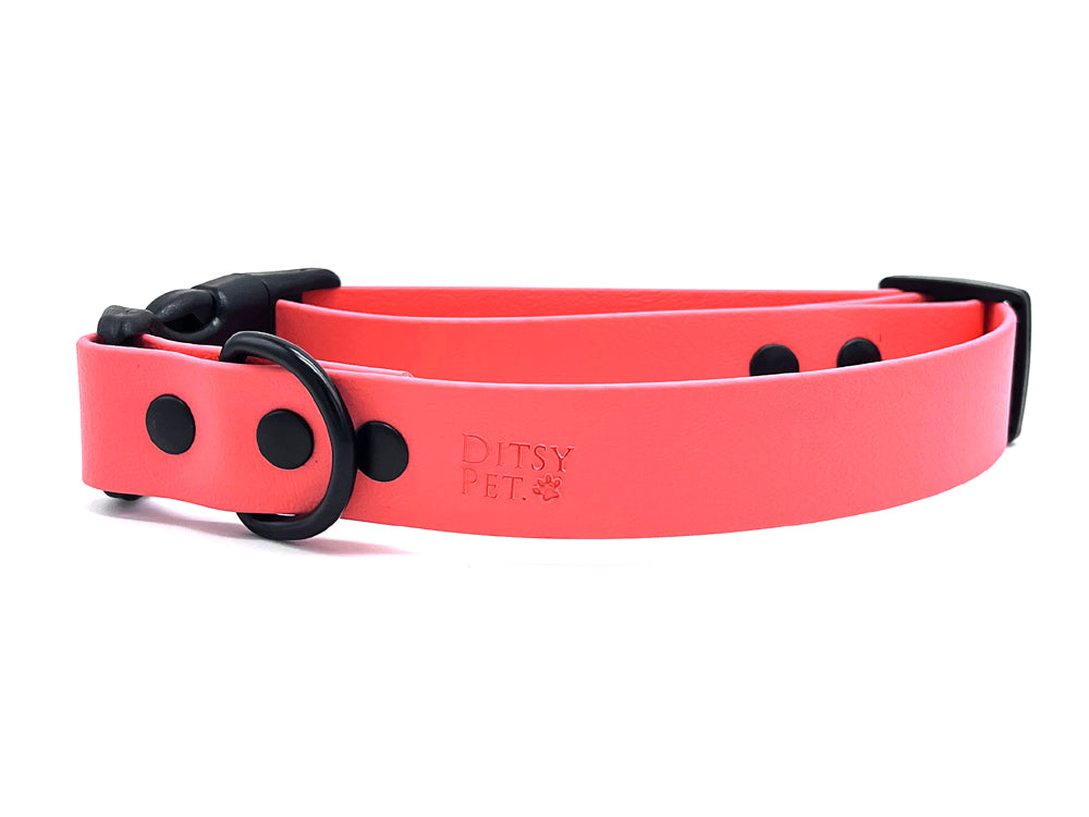 Ditsy Pet Coral Biothane Quick Release Collar
