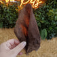 JR Cow Ears with Hair