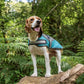 AniMate Padded Lining Dog Coat Grey & Teal