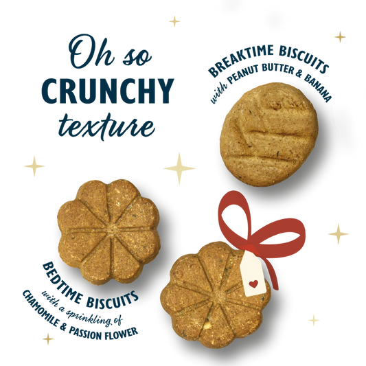 Lilys Kitchen Christmas Advent Calendar for Dogs
