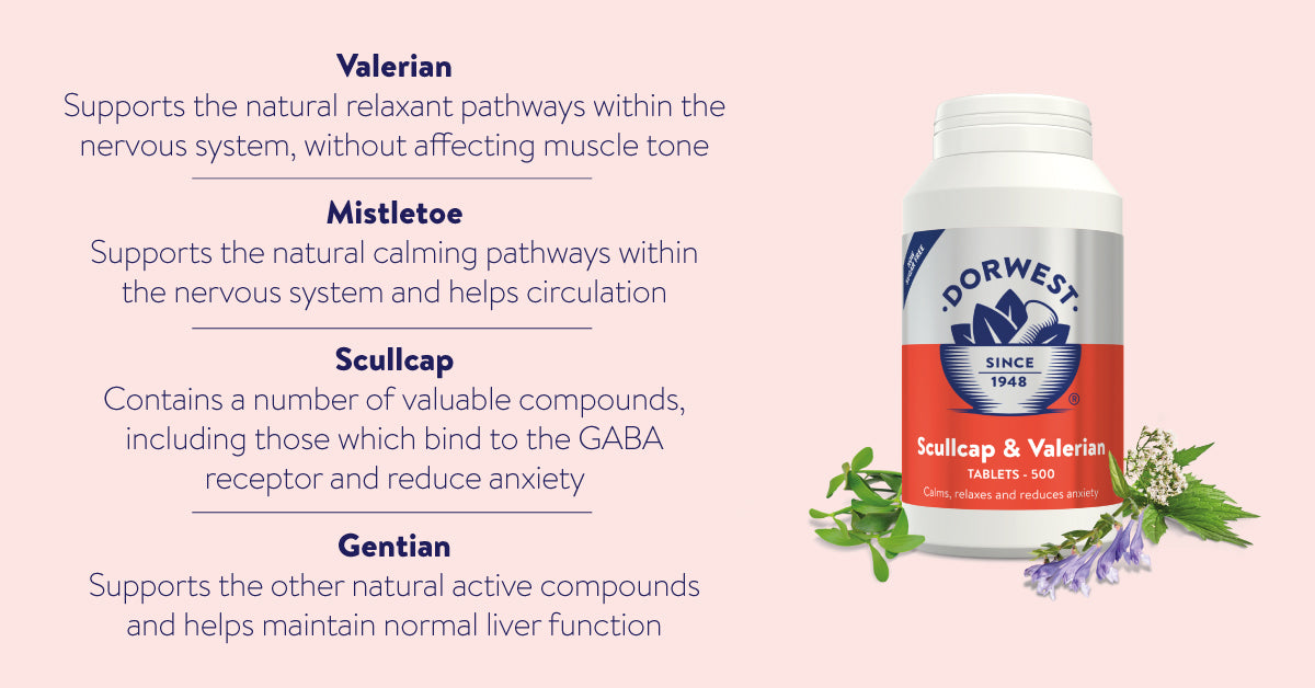 Dorwest Calming Scullcap & Valerian Tablets For Dogs And Cats