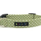 Ditsy Pet Evergreen Dog Collar