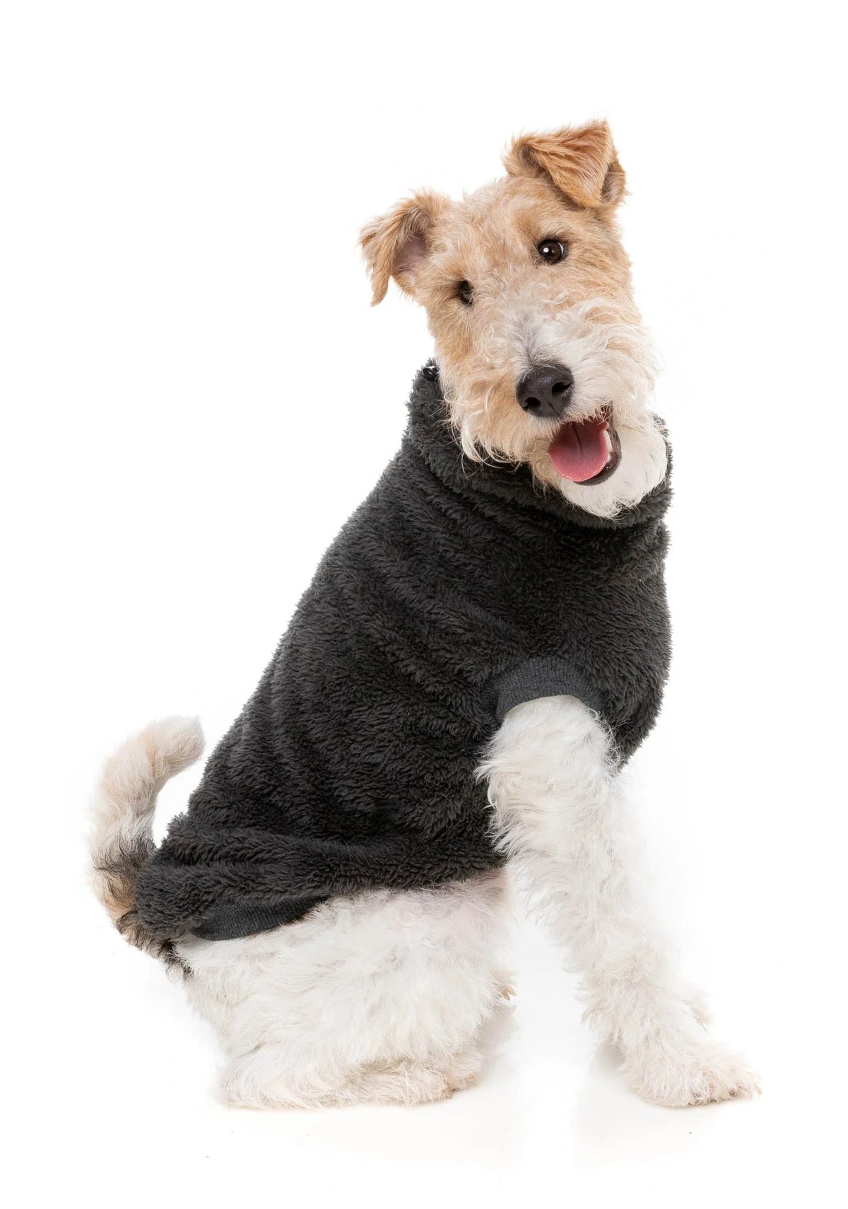 Fuzzyard Turtle Teddy Sweater Carbon Black