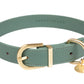 Fuzzyard Life Atelier Dog Collar Myrtle Green