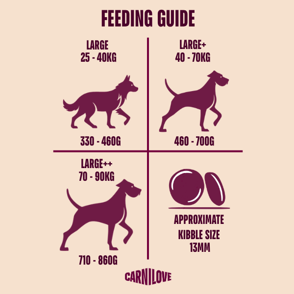 Carnilove Active Salmon & Turkey Large Breed Dry Dog Food