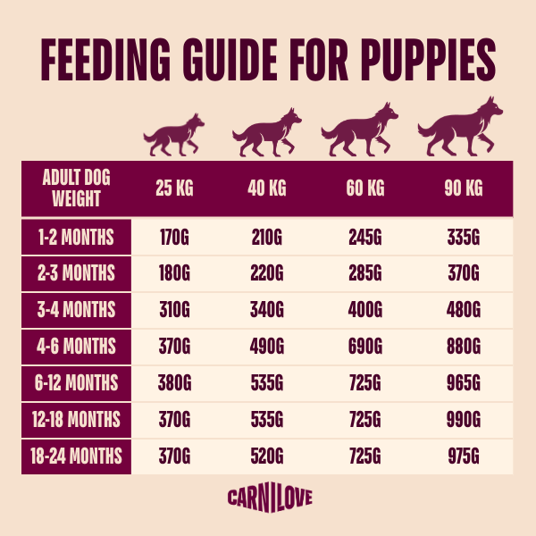 Carnilove Active Salmon & Turkey Junior Large Breed Dry Dog Food