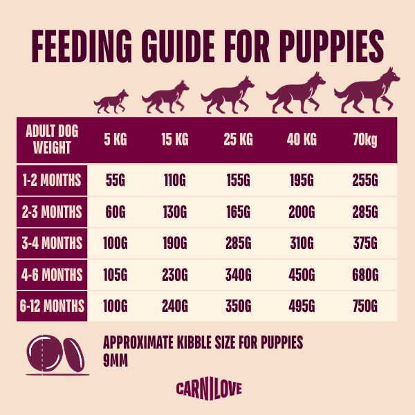 Carnilove True Fresh Duck Puppy Dry Food