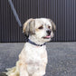Fuzzyard Life Slate Grey Dog Collar