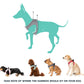 Fuzzyard Life Myrtle Green Step In Dog Harness