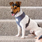 Fuzzyard Life Slate Grey Step In Dog Harness
