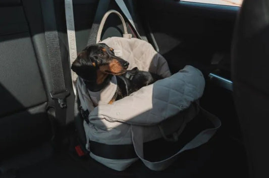 Fuzzyard Life Multipurpose Carrier & Car Seat for Dogs in Slate Grey