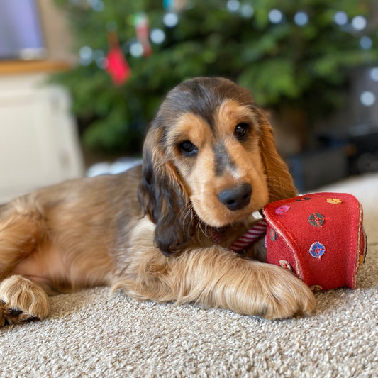 Green & Wild's Christmas Monsieur Bauble Eco Dog Toy