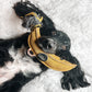 Green & Wild's Barry the Banana Eco Dog Toy