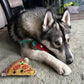 Green & Wild's Pepe le Pizza Eco Dog Toy