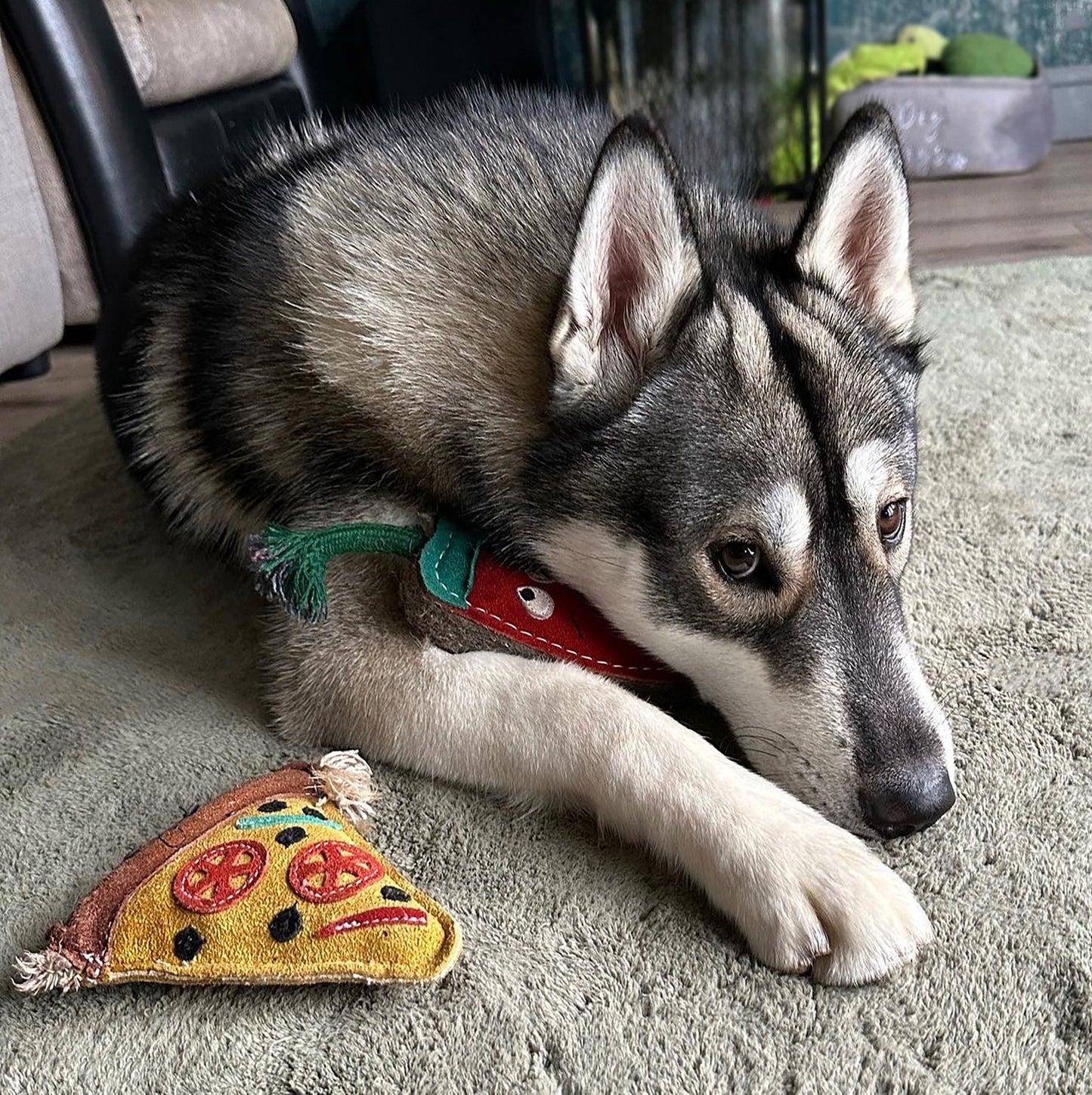 Green & Wild's Pepe le Pizza Eco Dog Toy