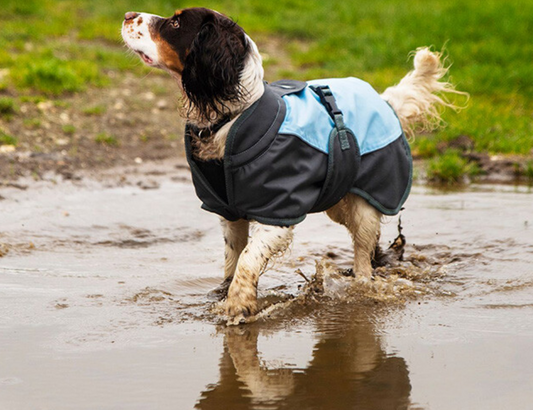 Henry Wag Waterproof Dog Coat Grey
