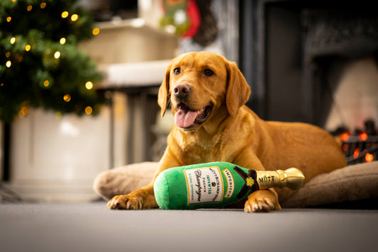 House of Paws Christmas Champagne Plush Dog Toy