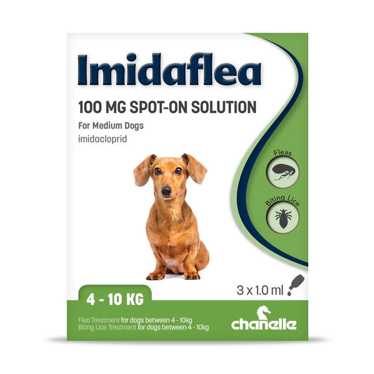 Imidaflea 100mg Spot-on Flea Treatment Medium Dog (4 - 10kg)