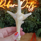 Rutland Naturals Puffed Chicken Foot