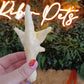 Rutland Naturals Puffed Chicken Foot