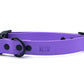 Ditsy Pet Lavender Biothane Quick Release Collar